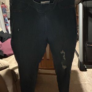 Lane Bryant plus size jeans stretch sz 20 comfy band